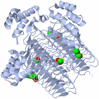 Image Biological Unit 1