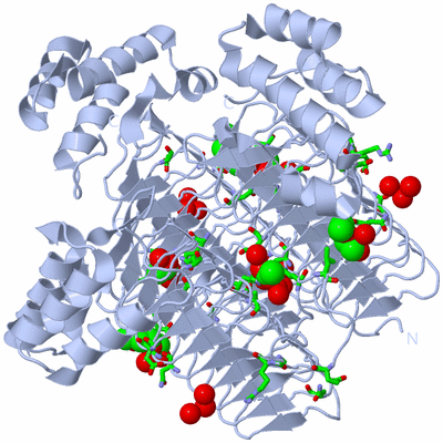 Image Biol. Unit 1 - sites