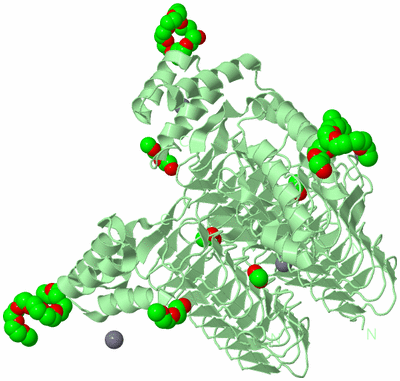 Image Biological Unit 2