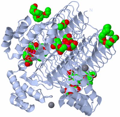 Image Biological Unit 1