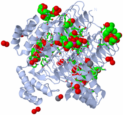 Image Biol. Unit 1 - sites