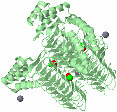 Image Biological Unit 2