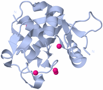 Image Biol. Unit 1 - sites