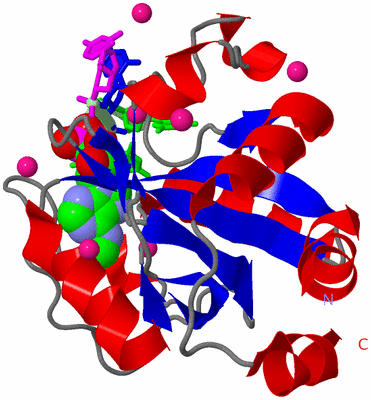 Image Asym./Biol. Unit