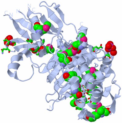 Image Biol. Unit 1 - sites