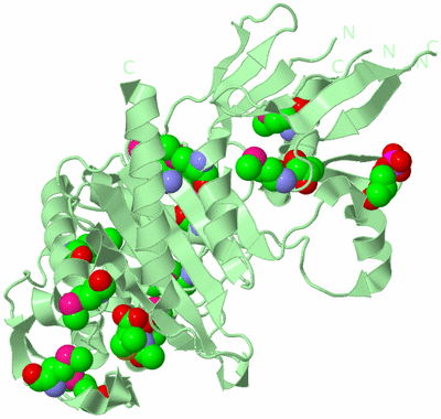 Image Biological Unit 2