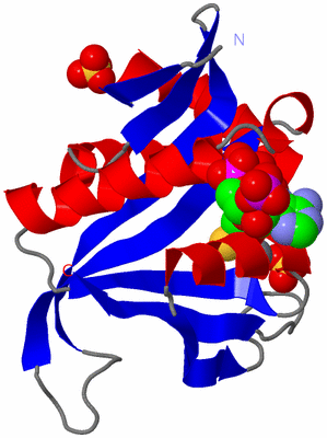 Image Asym./Biol. Unit