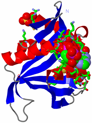 Image Asym./Biol. Unit - sites