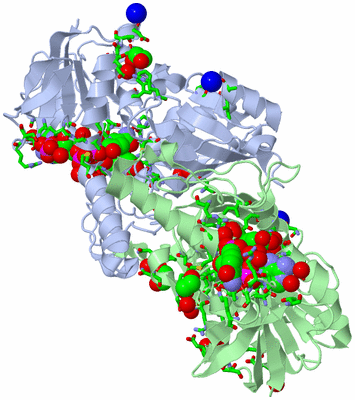 Image Asym./Biol. Unit - sites