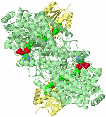 Image Biological Unit 2