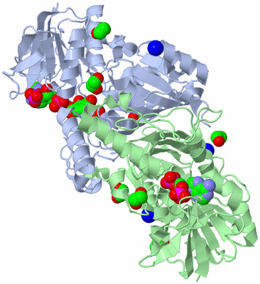 Image Asym./Biol. Unit