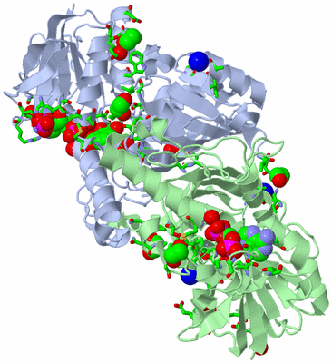 Image Asym./Biol. Unit - sites