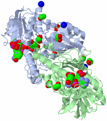 Image Asym./Biol. Unit