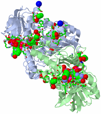 Image Asym./Biol. Unit - sites