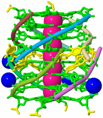 Image Biological Unit 2