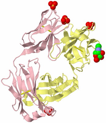 Image Biological Unit 3