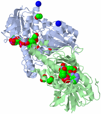 Image Asym./Biol. Unit