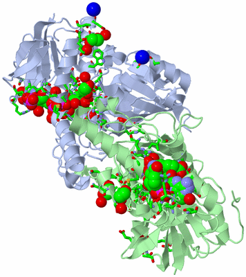 Image Asym./Biol. Unit - sites