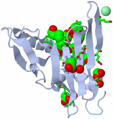 Image Biol. Unit 1 - sites