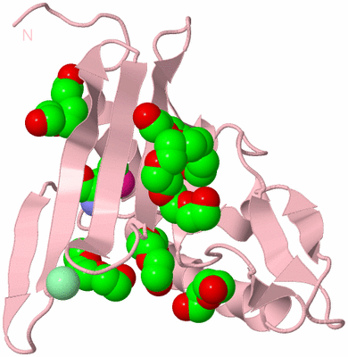 Image Biological Unit 3