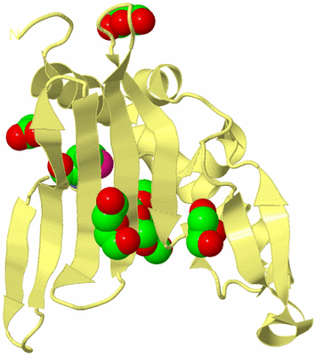 Image Biological Unit 4