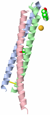 Image Asymmetric Unit