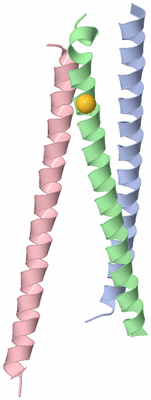 Image Asymmetric Unit