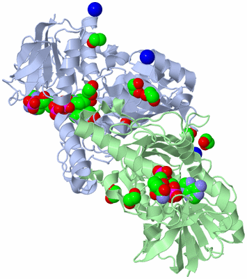 Image Asym./Biol. Unit