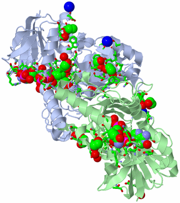 Image Asym./Biol. Unit - sites