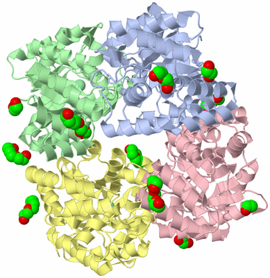 Image Asym./Biol. Unit