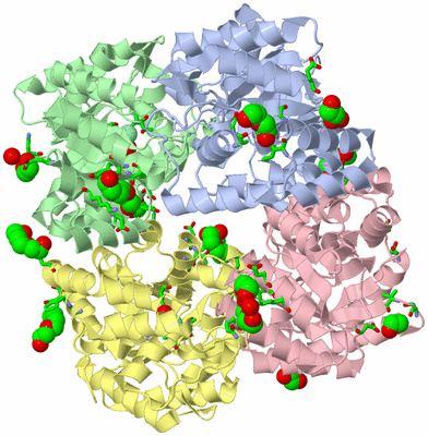 Image Asym./Biol. Unit - sites