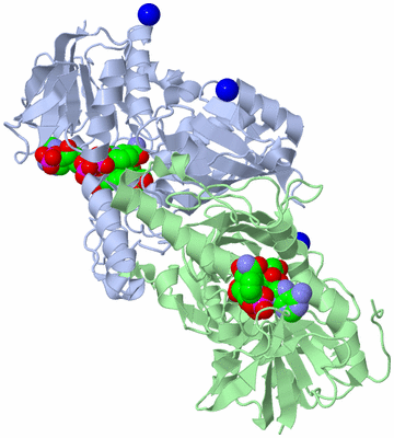 Image Asym./Biol. Unit