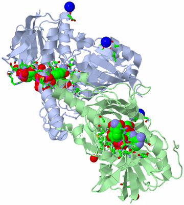 Image Asym./Biol. Unit - sites