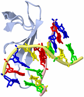 Image Biological Unit 1