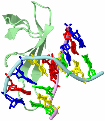 Image Biological Unit 2