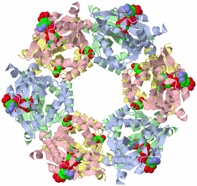 Image Biological Unit 1