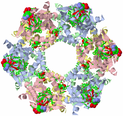 Image Biol. Unit 1 - sites