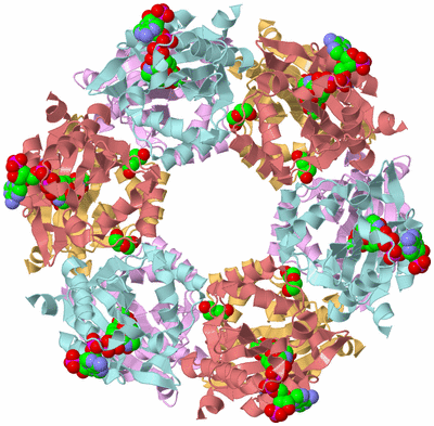 Image Biological Unit 2