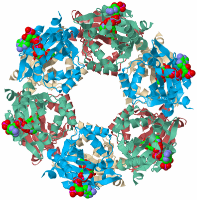 Image Biological Unit 3