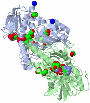 Image Asym./Biol. Unit