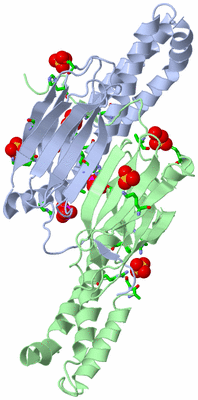 Image Biol. Unit 1 - sites