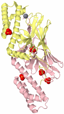 Image Biological Unit 2