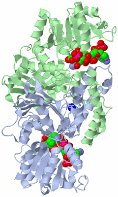 Image Asym./Biol. Unit