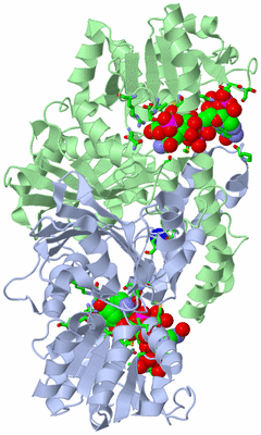 Image Asym./Biol. Unit - sites