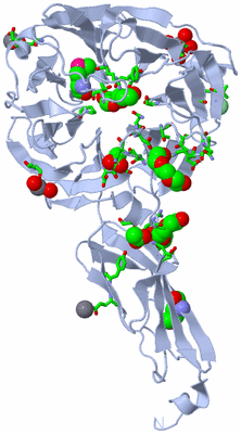 Image Biol. Unit 1 - sites