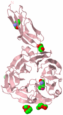 Image Biological Unit 3