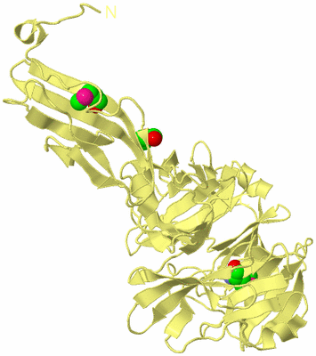 Image Biological Unit 4