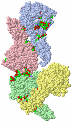 Image Asym. Unit - sites