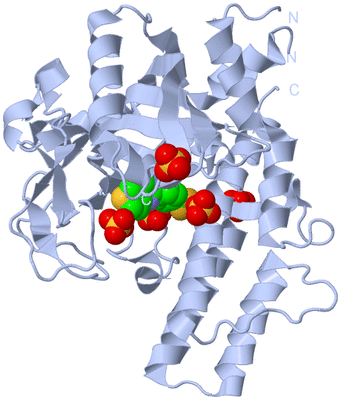 Image Biological Unit 1