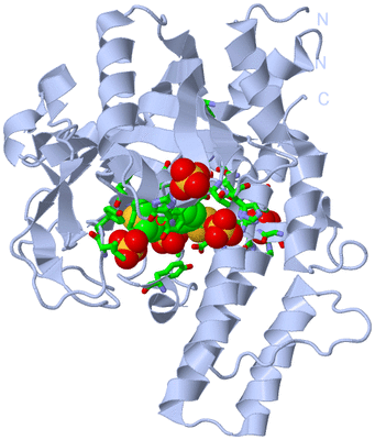 Image Biol. Unit 1 - sites